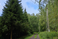 IMG_20250807_092423